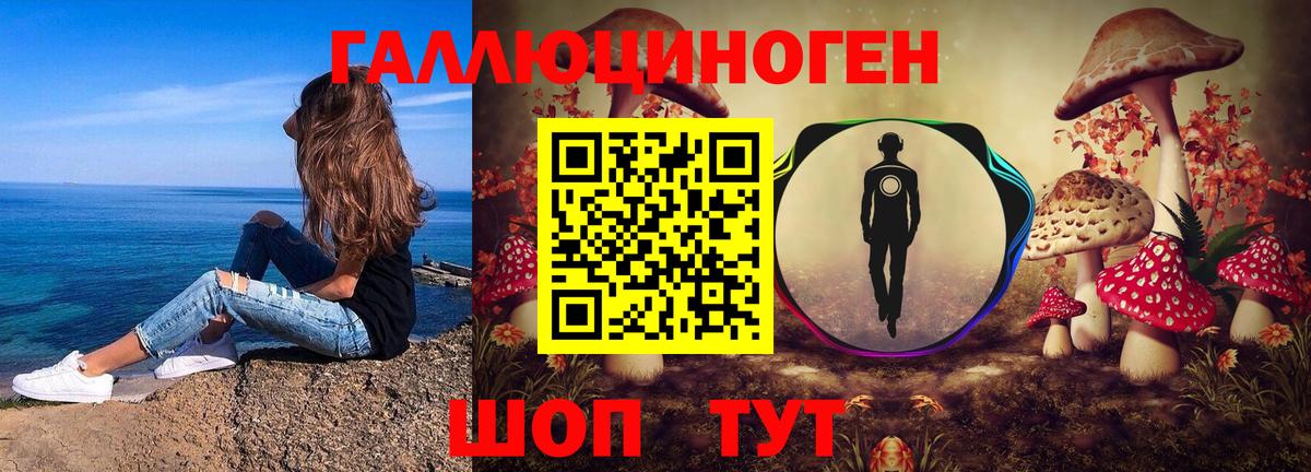 Урус-Мартан  Псилоцибиновые грибы GOLDEN TEACHER  Вход с VPN 